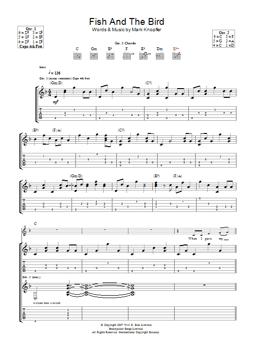 Mark Knopfler The Fish And The Bird sheet music notes and chords arranged for Guitar Tab