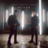 Martin Garrix 'Ocean (featuring Khalid)' Piano, Vocal & Guitar Chords