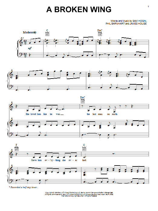 Martina McBride A Broken Wing sheet music notes and chords arranged for Guitar Chords/Lyrics