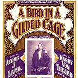 Maurice J. Gunsky 'A Bird In A Gilded Cage' Piano, Vocal & Guitar Chords