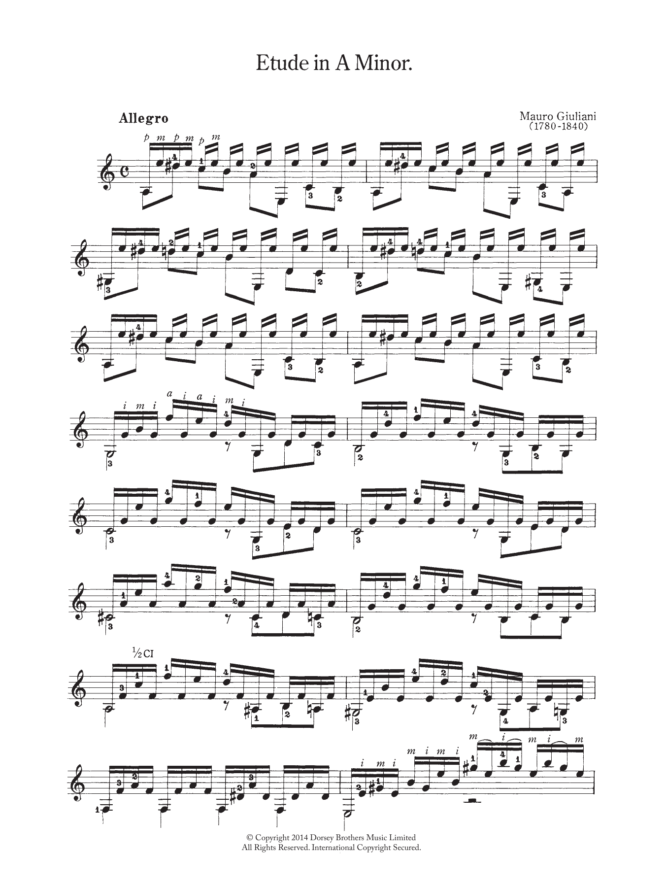 Mauro Giuliani Etude In A Minor sheet music notes and chords arranged for Solo Guitar