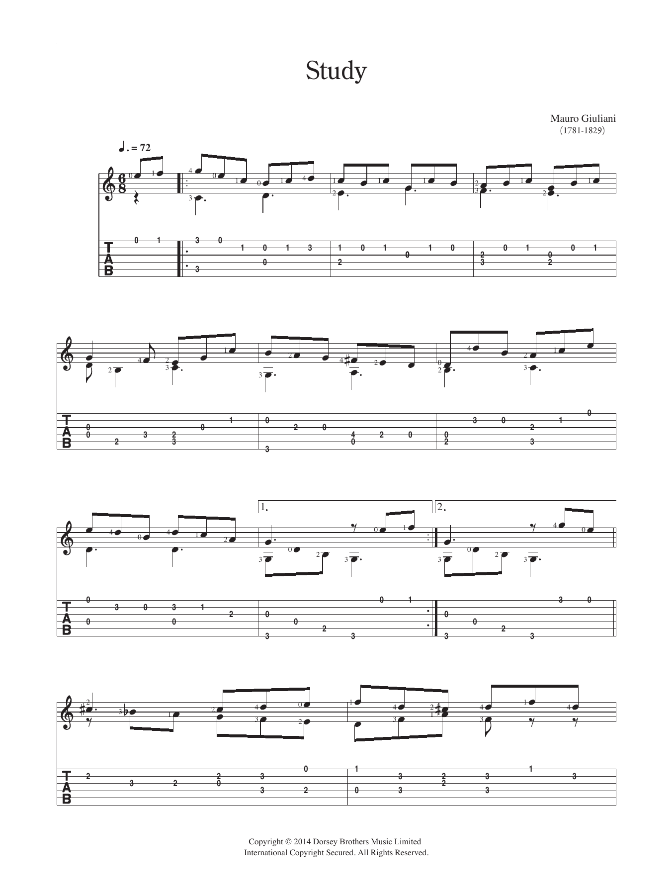 Mauro Giuliani Study sheet music notes and chords arranged for Solo Guitar