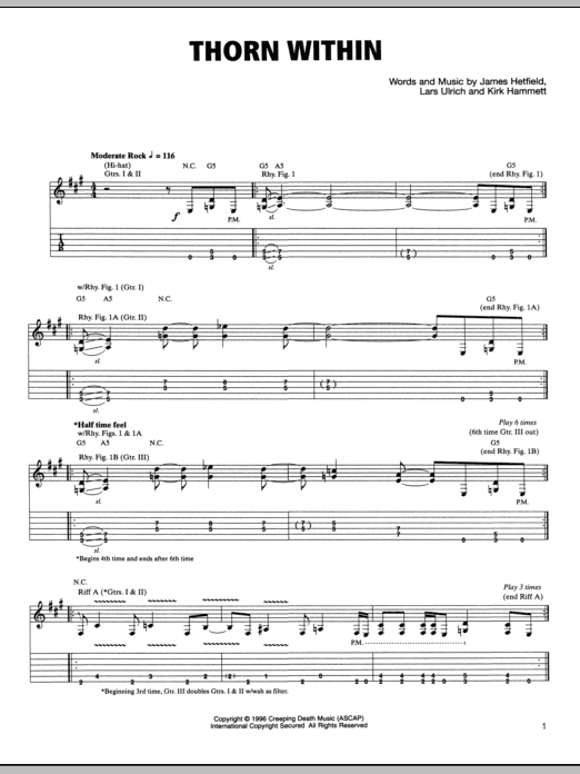 Metallica The Thorn Within sheet music notes and chords arranged for Guitar Chords/Lyrics