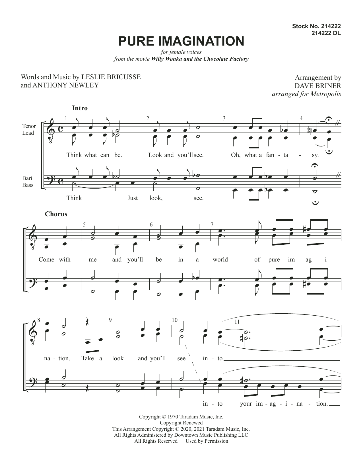 Metropolis Pure Imagination (arr. Dave Briner) sheet music notes and chords arranged for SSAA Choir
