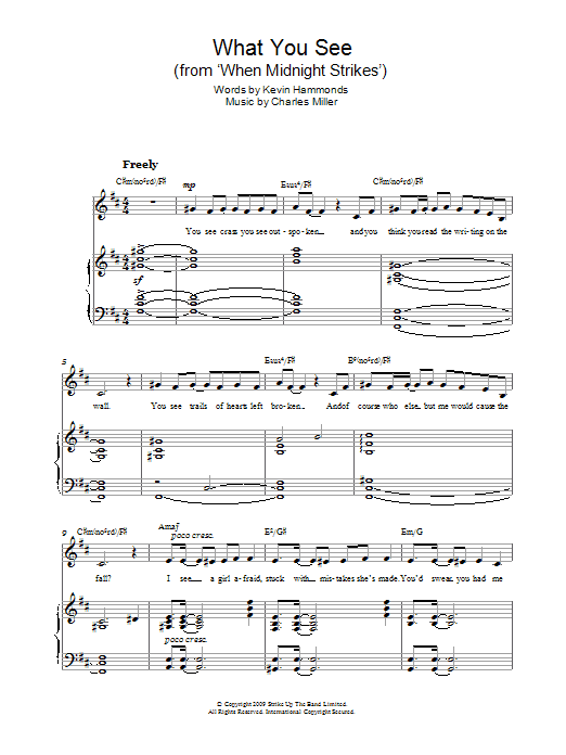 Miller & Hammonds What You See sheet music notes and chords arranged for Piano, Vocal & Guitar Chords