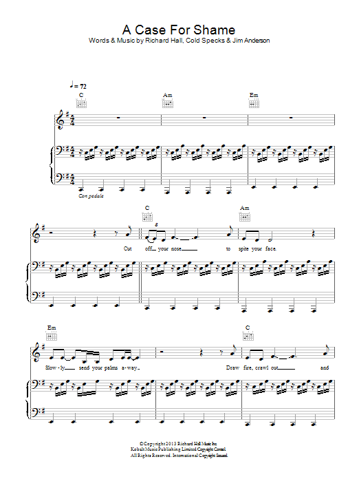 Moby A Case For Shame sheet music notes and chords arranged for Piano, Vocal & Guitar Chords