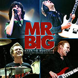 Mr. Big 'Stay Together' Guitar Tab