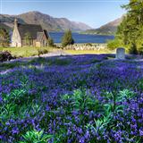 Traditional 'The Bluebells Of Scotland' Guitar Chords/Lyrics