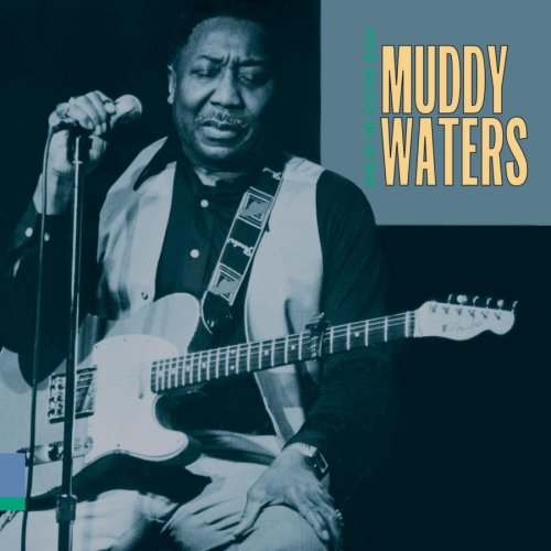 Easily Download Muddy Waters Printable PDF piano music notes, guitar tabs for  Solo Guitar. Transpose or transcribe this score in no time - Learn how to play song progression.