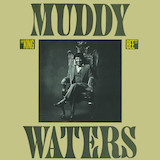 Muddy Waters 'Champagne And Reefer' Guitar Tab