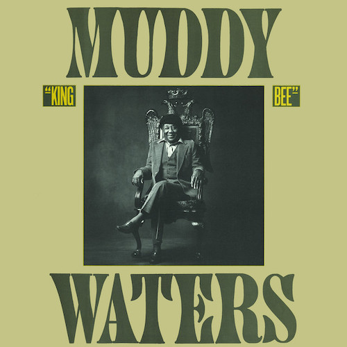 Easily Download Muddy Waters Printable PDF piano music notes, guitar tabs for  Piano, Vocal & Guitar Chords (Right-Hand Melody). Transpose or transcribe this score in no time - Learn how to play song progression.