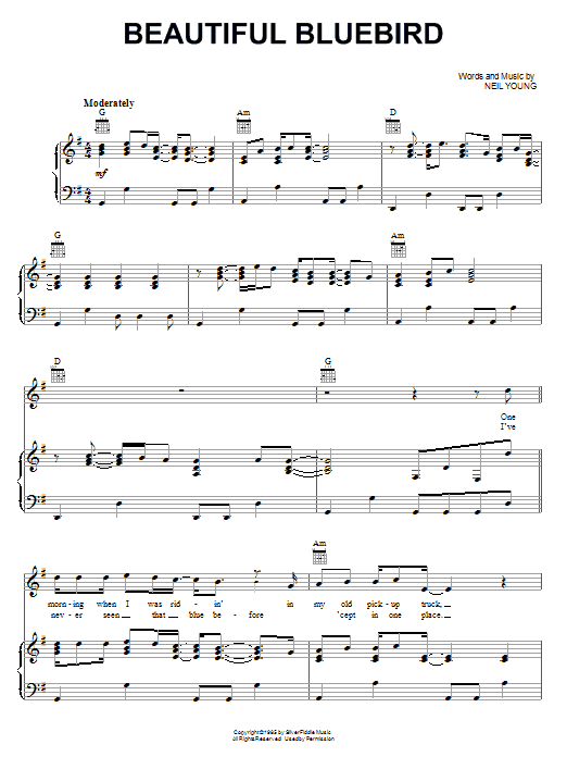 Neil Young Beautiful Bluebird sheet music notes and chords arranged for Piano, Vocal & Guitar Chords (Right-Hand Melody)