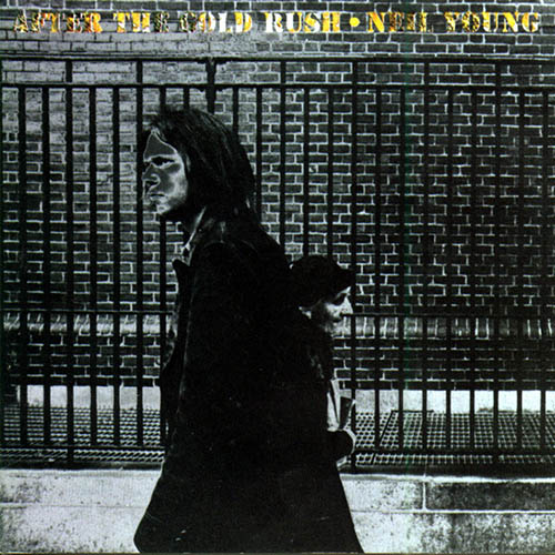 Easily Download Neil Young Printable PDF piano music notes, guitar tabs for  Guitar Tab. Transpose or transcribe this score in no time - Learn how to play song progression.