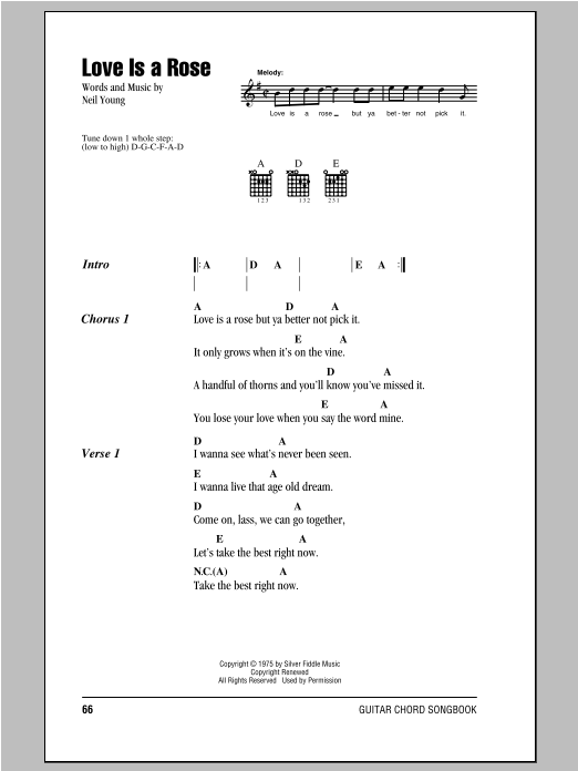 Neil Young Love Is A Rose sheet music notes and chords arranged for Guitar Rhythm Tab
