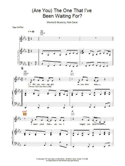 Nick Cave (Are You) The One That I've Been Waiting For? sheet music notes and chords arranged for Guitar Chords/Lyrics