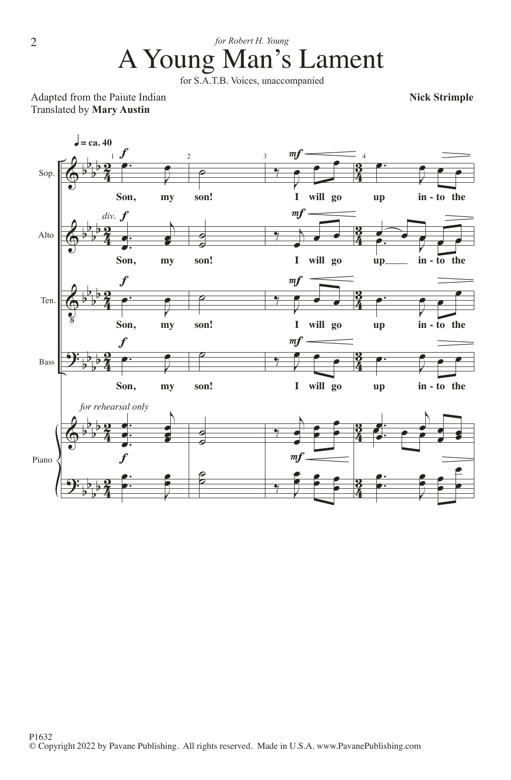 Nick Strimple A Young Man's Lament sheet music notes and chords arranged for SATB Choir