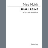 Nico Muhly 'Small Raine' SATB Choir