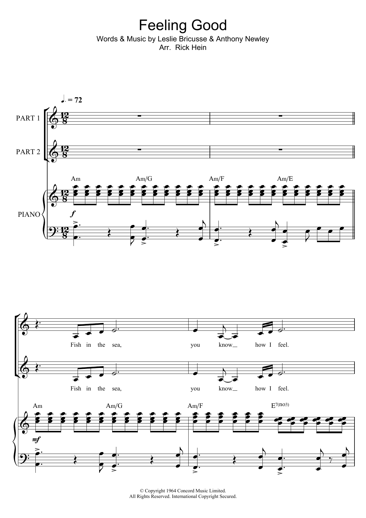 Nina Simone Feeling Good (Arr. Rick Hein) sheet music notes and chords arranged for Choir