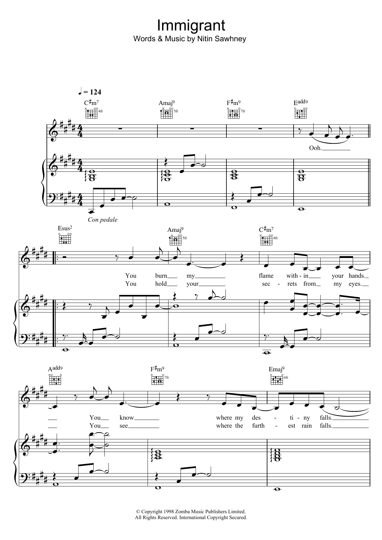 Nitin Sawhney Immigrant sheet music notes and chords arranged for Piano, Vocal & Guitar Chords