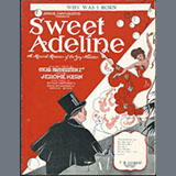 Oscar Hammerstein II & Jerome Kern 'Why Was I Born? (from Sweet Adeline) (arr. Lee Evans)' Piano Solo