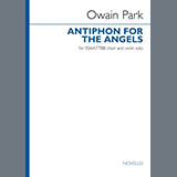 Owain Park 'Antiphon For The Angels (Vocal score)' SSAATTBB Choir