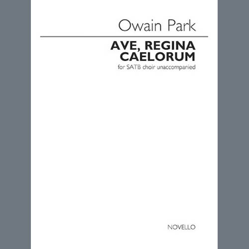 Easily Download Owain Park Printable PDF piano music notes, guitar tabs for  SATB Choir. Transpose or transcribe this score in no time - Learn how to play song progression.
