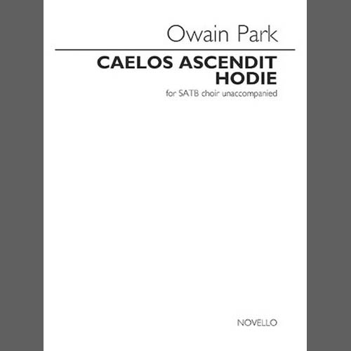 Easily Download Owain Park Printable PDF piano music notes, guitar tabs for  SATB Choir. Transpose or transcribe this score in no time - Learn how to play song progression.
