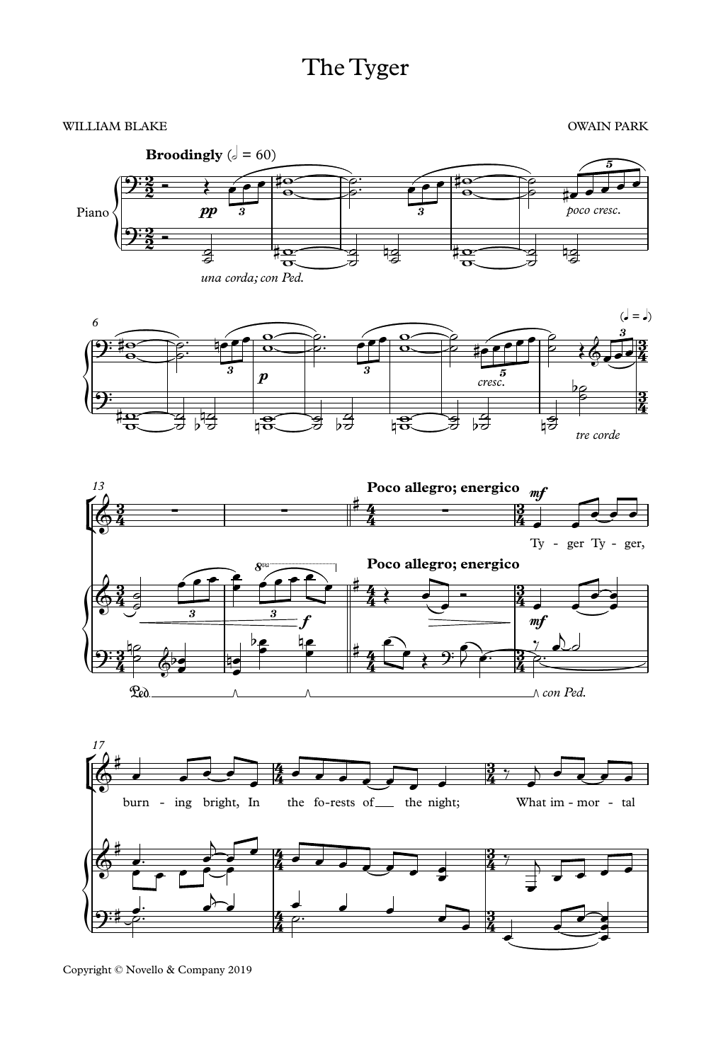 Owain Park The Tyger sheet music notes and chords arranged for SSA Choir