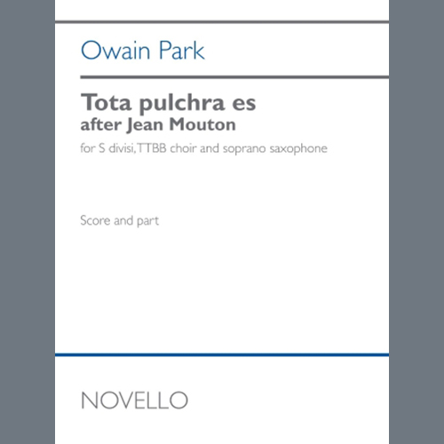 Easily Download Owain Park Printable PDF piano music notes, guitar tabs for  Choir. Transpose or transcribe this score in no time - Learn how to play song progression.
