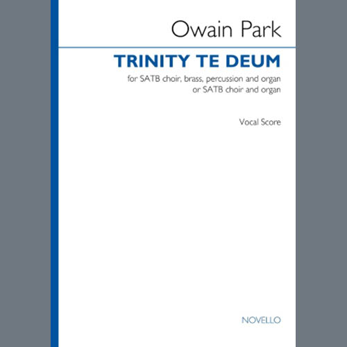 Easily Download Owain Park Printable PDF piano music notes, guitar tabs for  SATB Choir. Transpose or transcribe this score in no time - Learn how to play song progression.