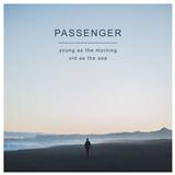 Passenger 'Beautiful Birds' Piano, Vocal & Guitar Chords
