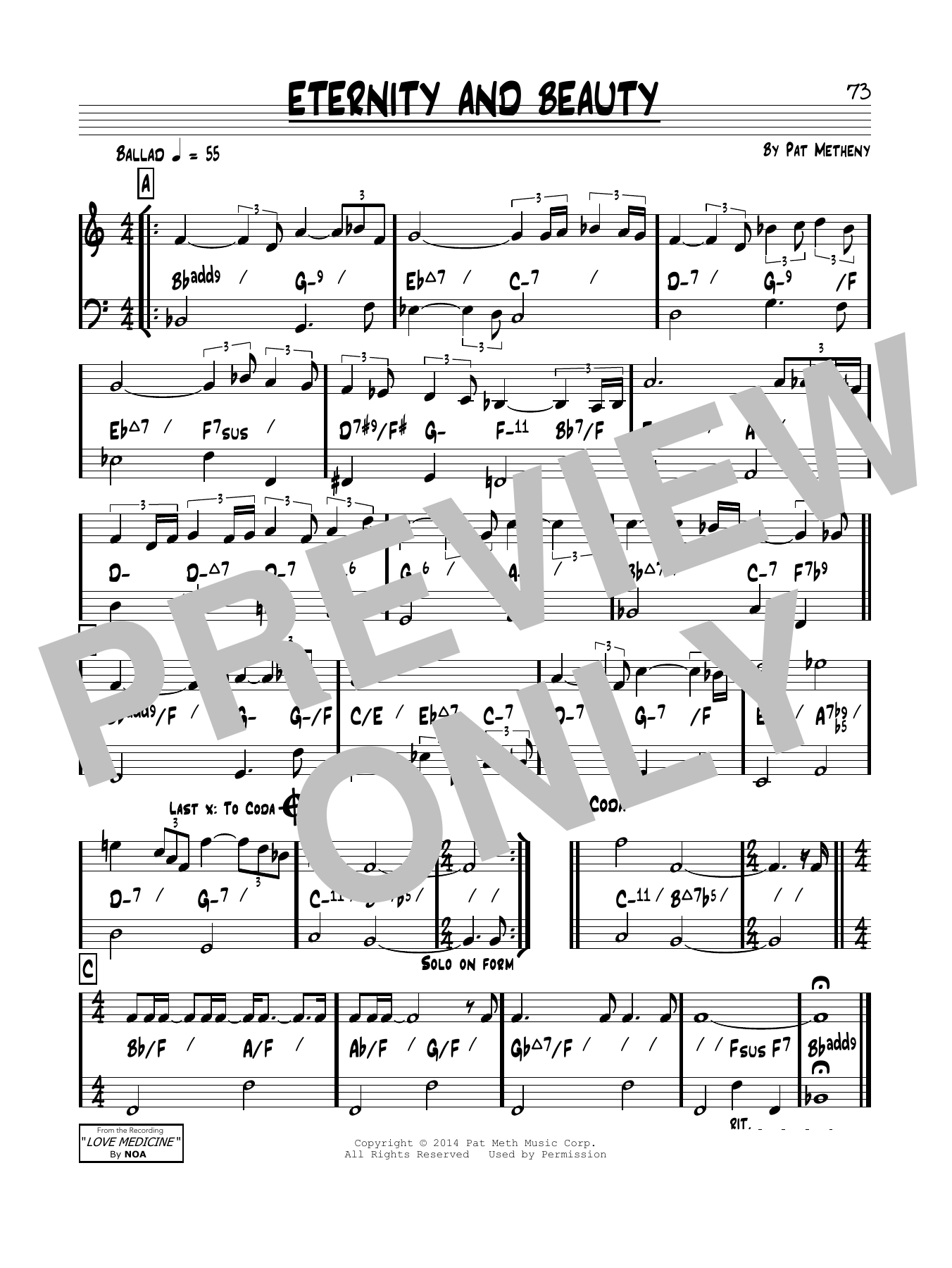 Pat Metheny Eternity & Beauty sheet music notes and chords arranged for Real Book – Melody & Chords
