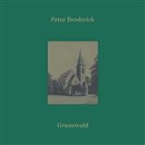Peter Broderick 'Low Light' Piano Solo