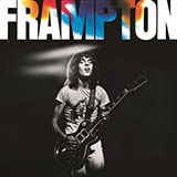 Peter Frampton 'Baby, I Love Your Way' Flute Solo