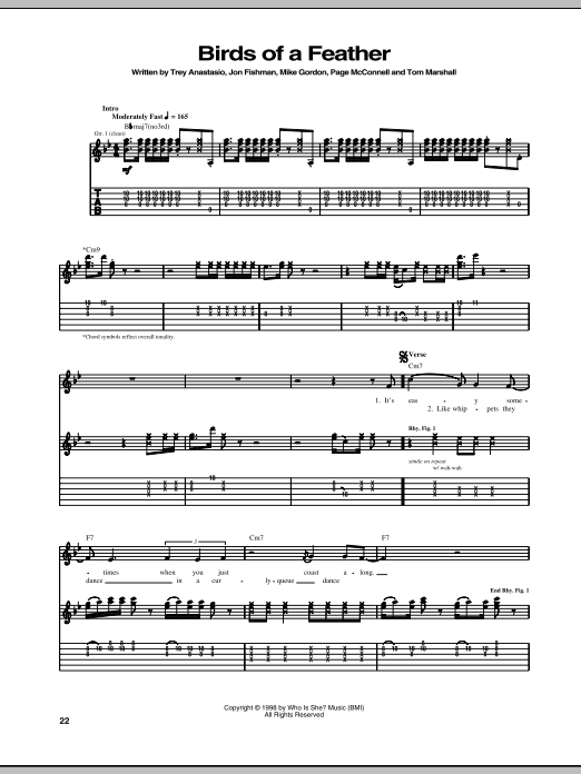 Phish Birds Of A Feather sheet music notes and chords arranged for Guitar Tab