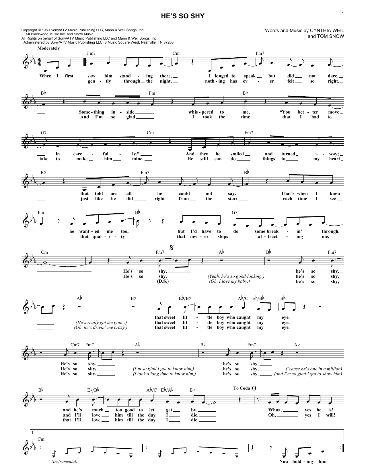 The Pointer Sisters He's So Shy sheet music notes and chords arranged for Lead Sheet / Fake Book