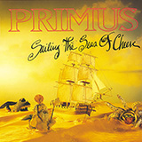 Primus 'Jerry Was A Race Car Driver' Easy Bass Tab
