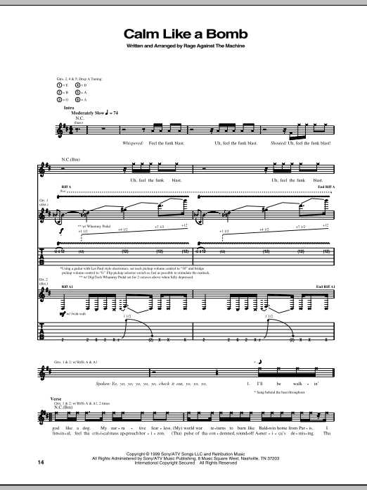 Rage Against The Machine Calm Like A Bomb sheet music notes and chords arranged for Guitar Tab