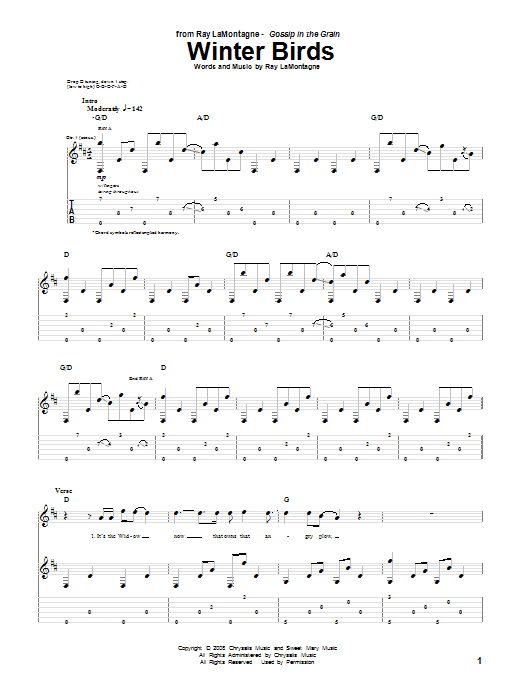 Ray LaMontagne Winter Birds sheet music notes and chords arranged for Guitar Tab