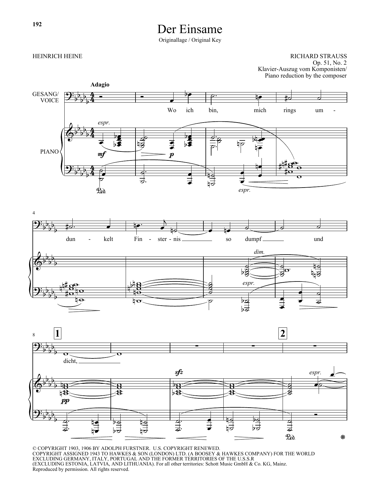 Richard Strauss Der Einsame (Low Voice) sheet music notes and chords arranged for Piano & Vocal