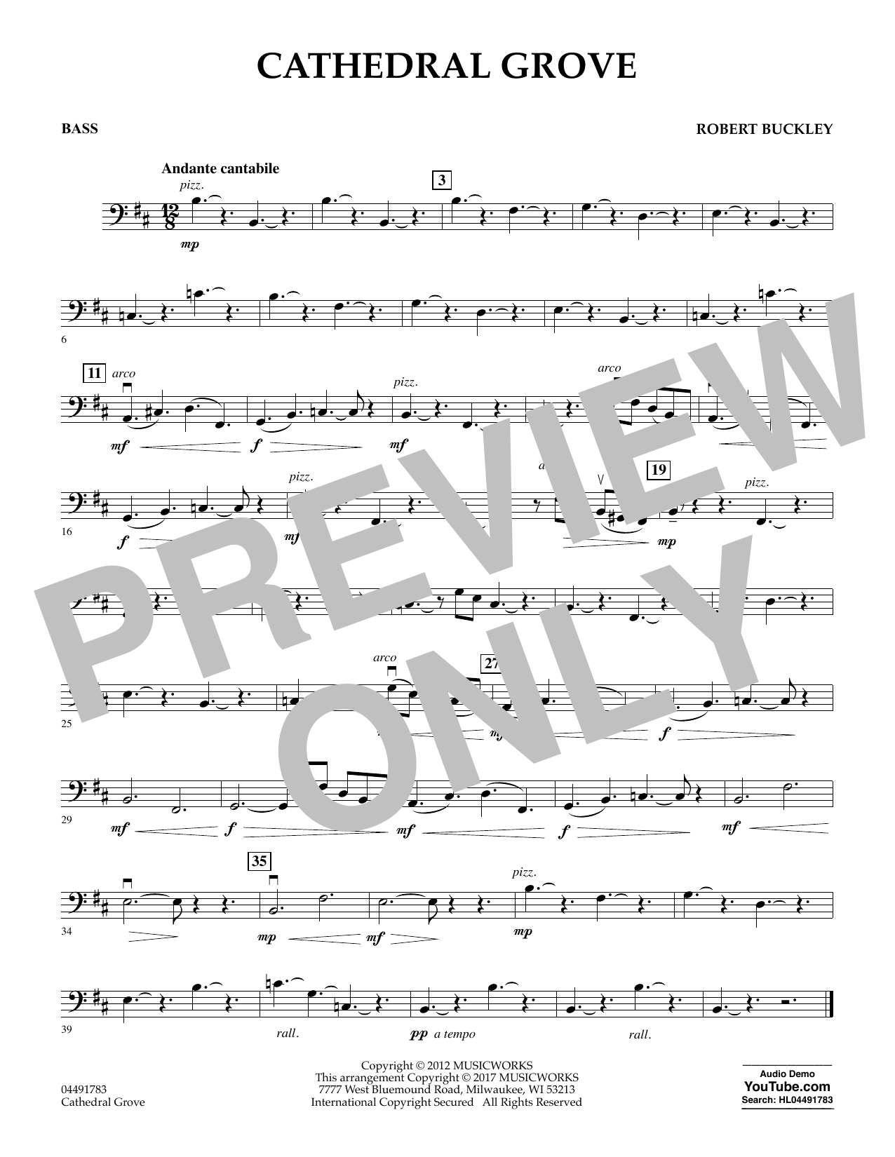 Robert Buckley Cathedral Grove - Bass sheet music notes and chords arranged for Orchestra