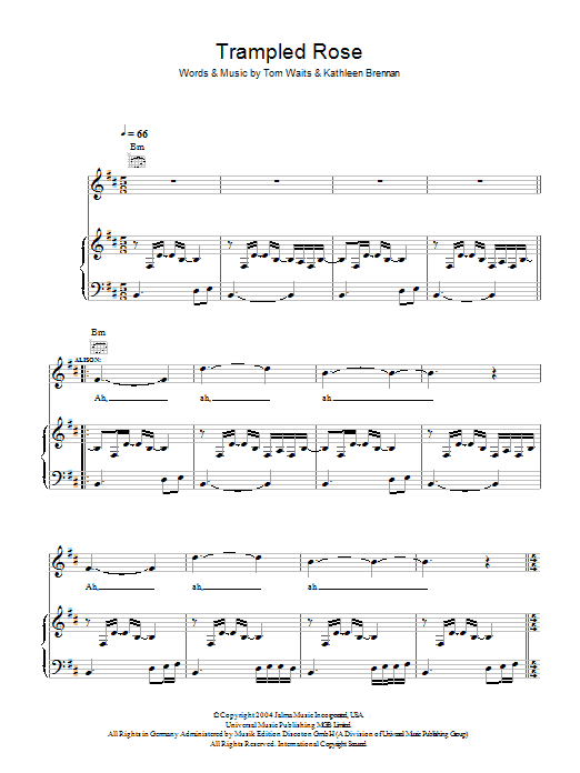 Robert Plant & Alison Krauss Trampled Rose sheet music notes and chords arranged for Piano, Vocal & Guitar Chords