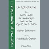 Robert Schumann 'Die Lotosblume (Ed. Matthew D. Oltman)' TTBB Choir