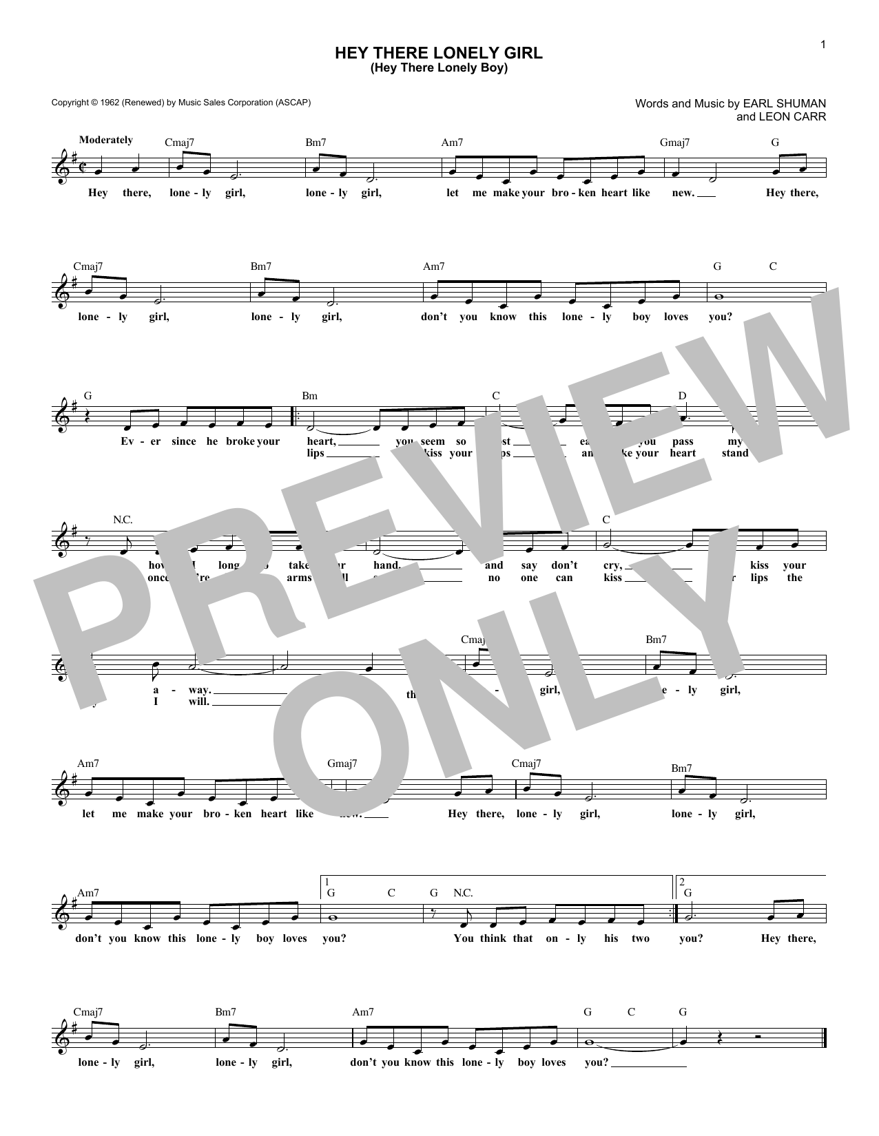 Ruby & The Romantics Hey There Lonely Girl (Hey There Lonely Boy) sheet music notes and chords arranged for Lead Sheet / Fake Book