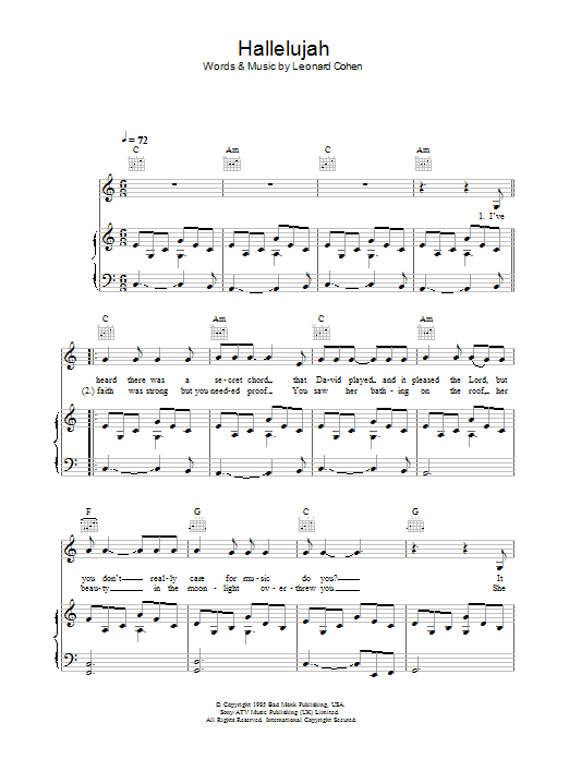 Rufus Wainwright Hallelujah sheet music notes and chords arranged for Flute Solo