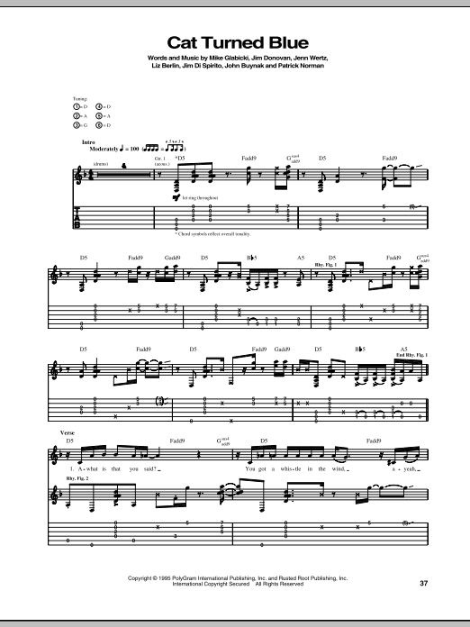 Rusted Root Cat Turned Blue sheet music notes and chords arranged for Guitar Tab