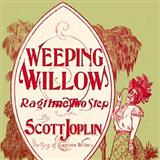 Scott Joplin 'Weeping Willow Rag' Guitar Tab