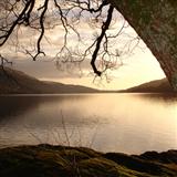 Scottish Folksong 'Loch Lomond' Viola Solo