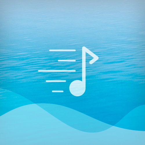 Easily Download Sea Chantey Printable PDF piano music notes, guitar tabs for  Lead Sheet / Fake Book. Transpose or transcribe this score in no time - Learn how to play song progression.