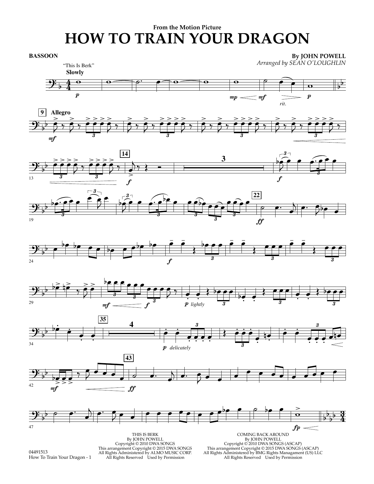 Sean O'Loughlin How to Train Your Dragon - Bassoon sheet music notes and chords arranged for Full Orchestra